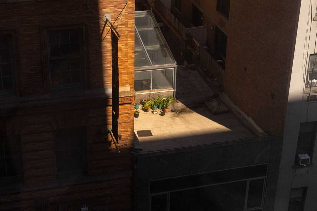 The roof of a building with a glass structure and potted plants.