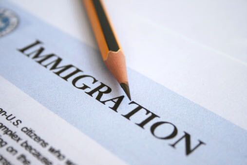 Insight on Immigration