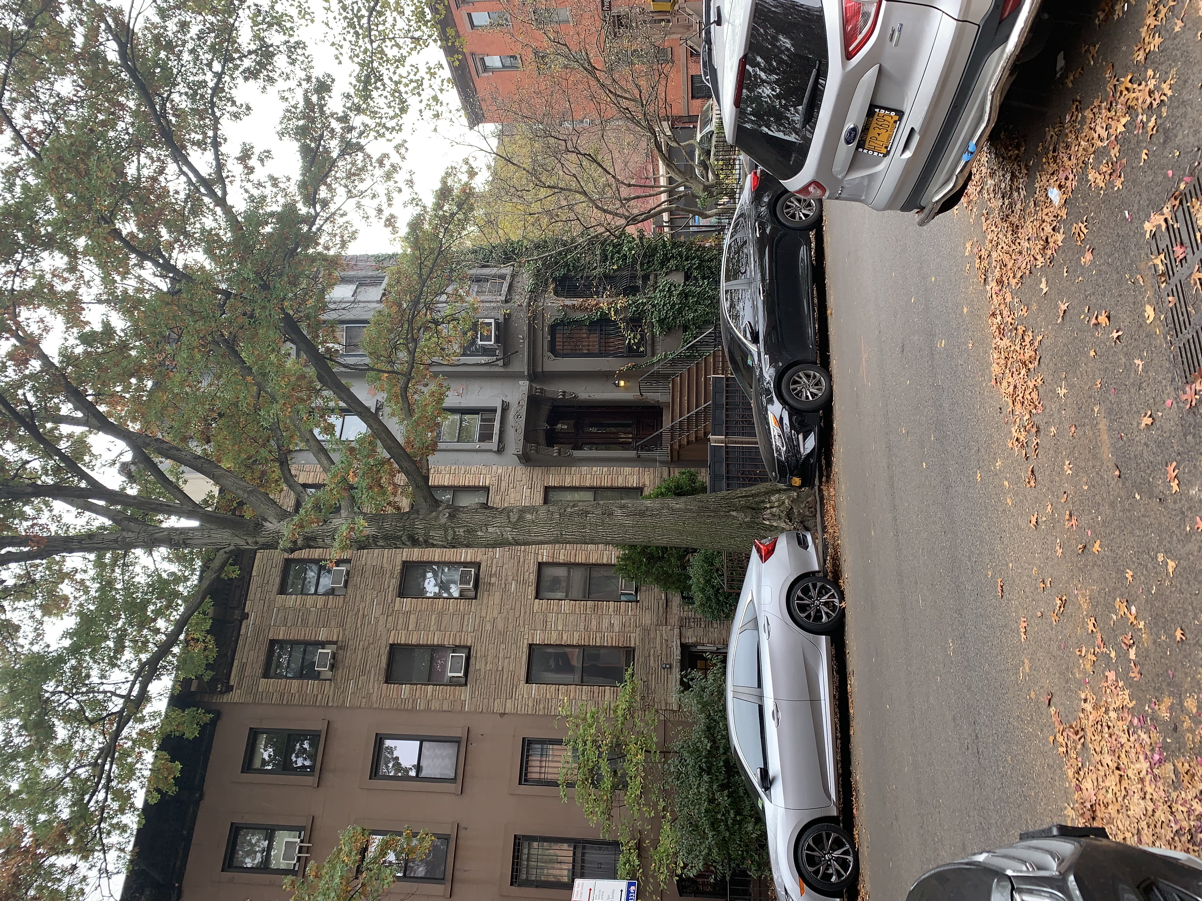 Brownstone Building with trees in front