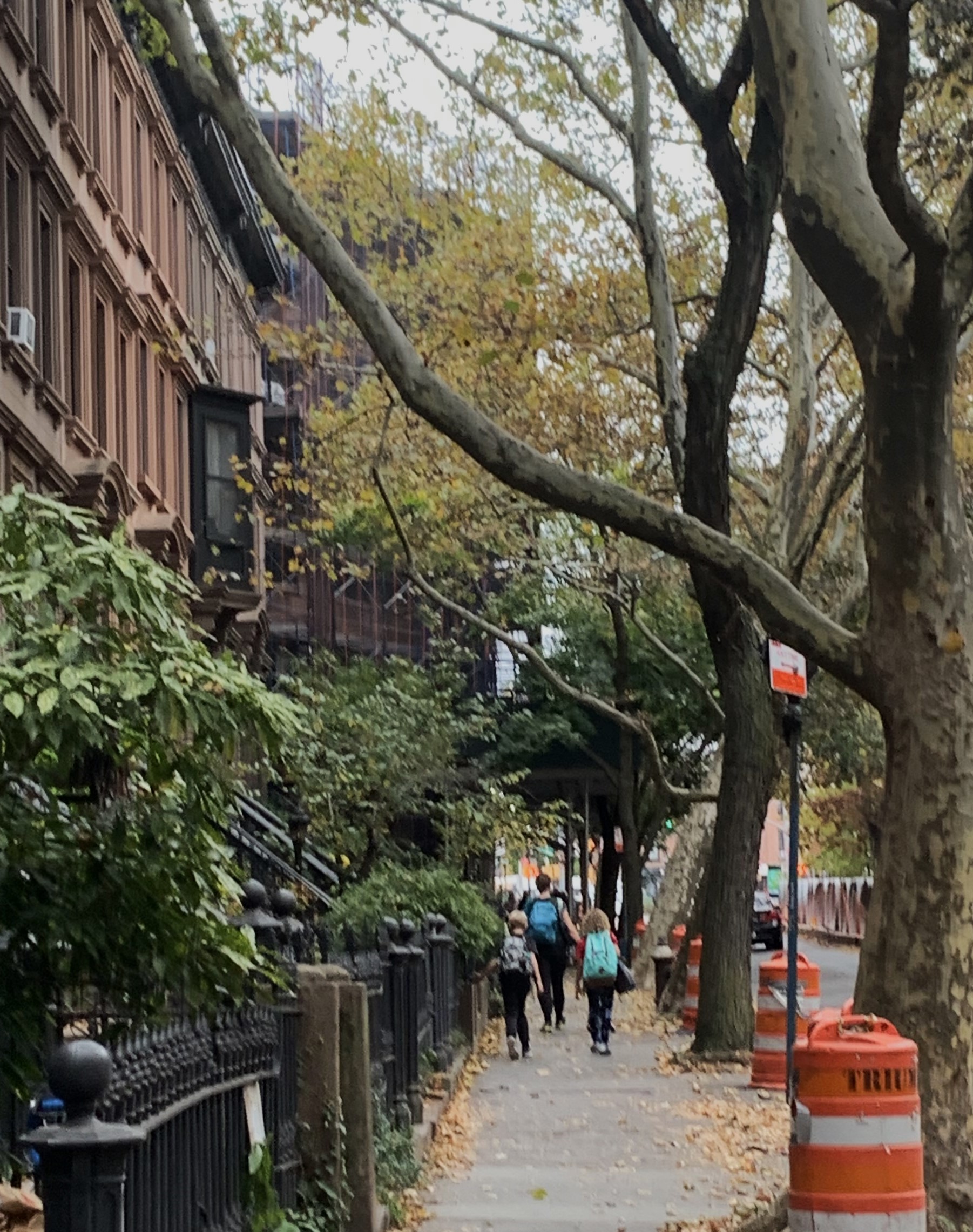 The families now walking in the neighborhood