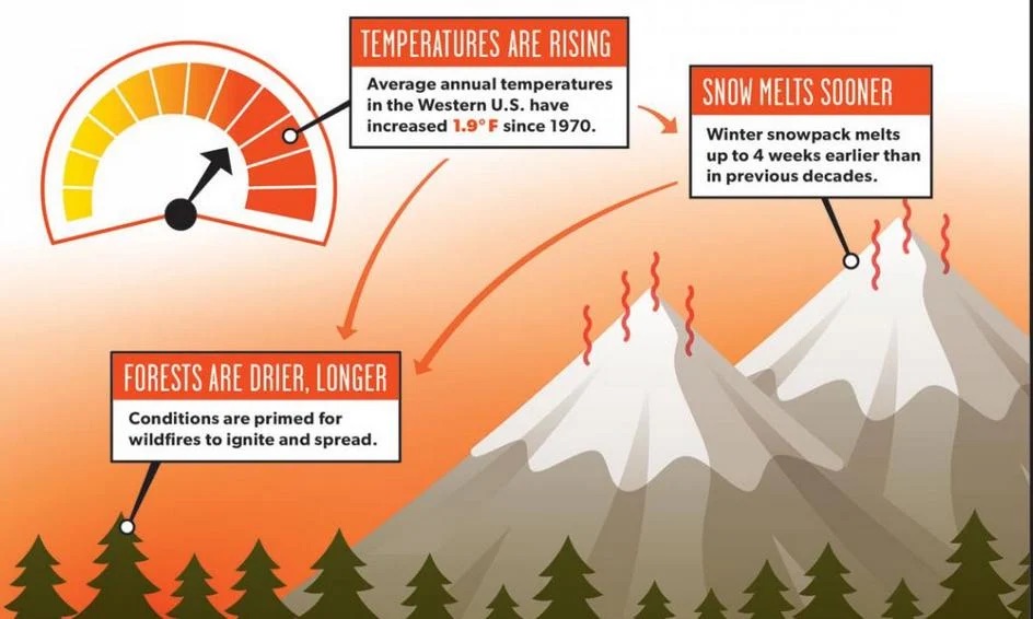 Fire cycle